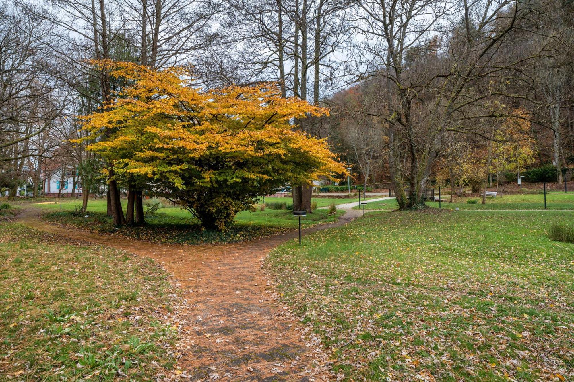 Luise Daire Bad Bergzabern Dış mekan fotoğraf